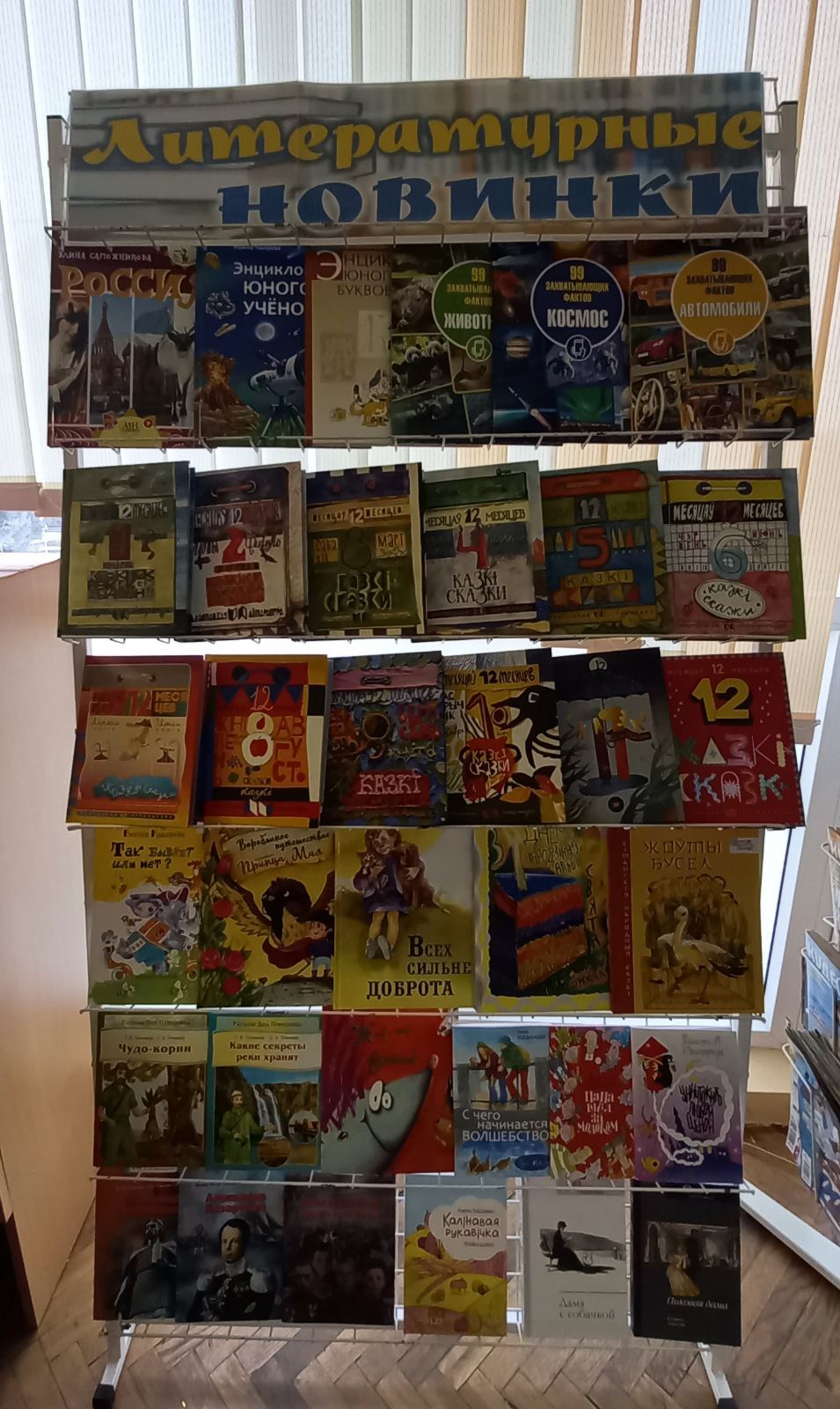 ВНИМАНИЕ! ВНИМАНИЕ! Мальчишки и девчонки, для вас в Квасовскую сельскую библиотеку поступили новые книги.