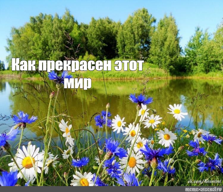 Парэцкая сельская бібліятэка правядзе мерапрыемства “Как прекрасен мир” у рамках пасяджэння клуба “Юны эколаг”.