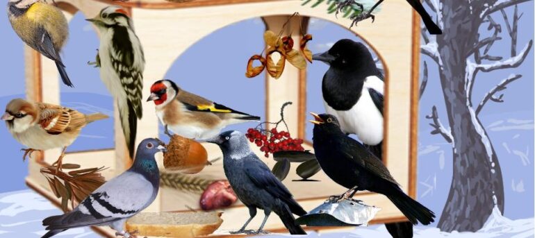 Путрышкаўская сельская бібліятэка правядзе акцыю «Помоги птицам зимой».